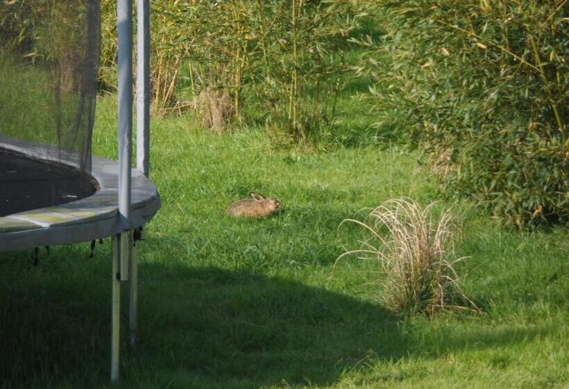 צימר Cafecouet Breizh