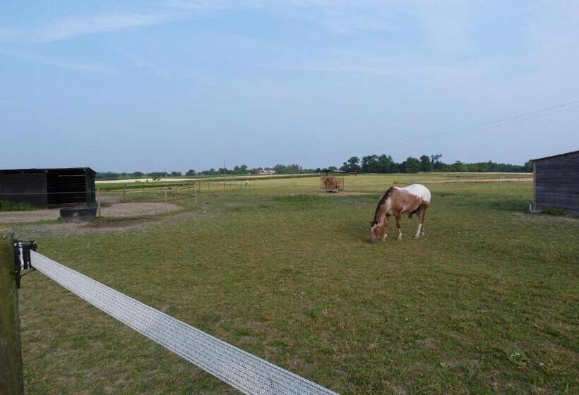 住宿加早餐 Chambre D'hôtes Les 3 Moulins