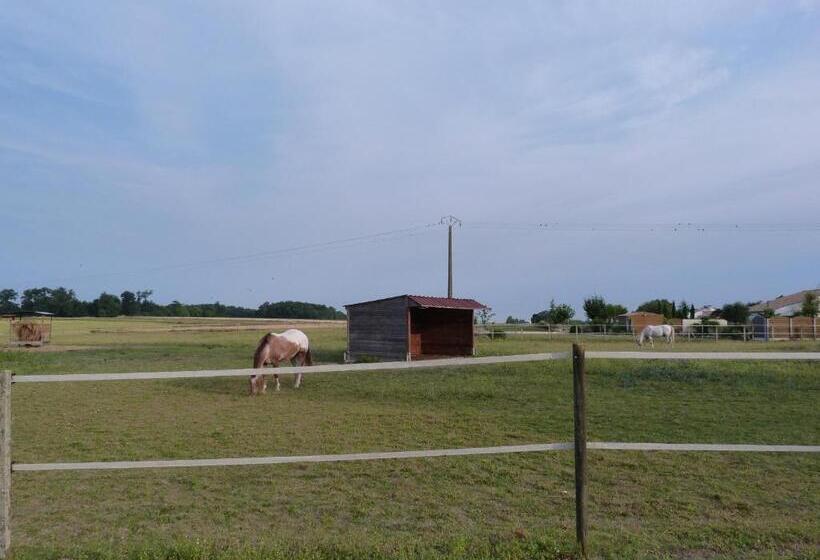 住宿加早餐 Chambre D'hôtes Les 3 Moulins
