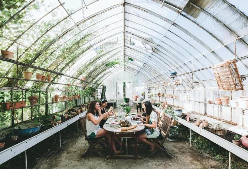 مبيت وإفطار Chateau De Paraza