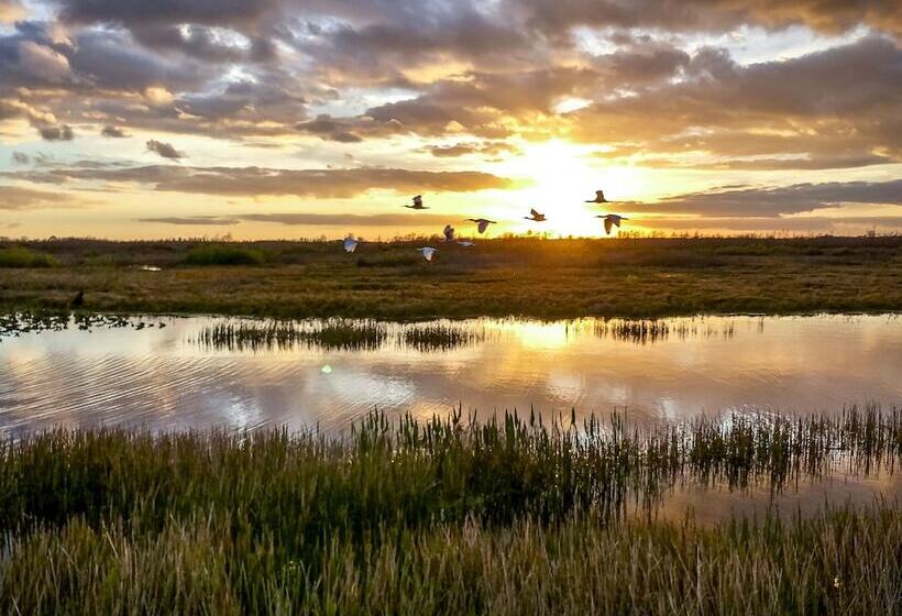 مبيت وإفطار Château De Bernesq