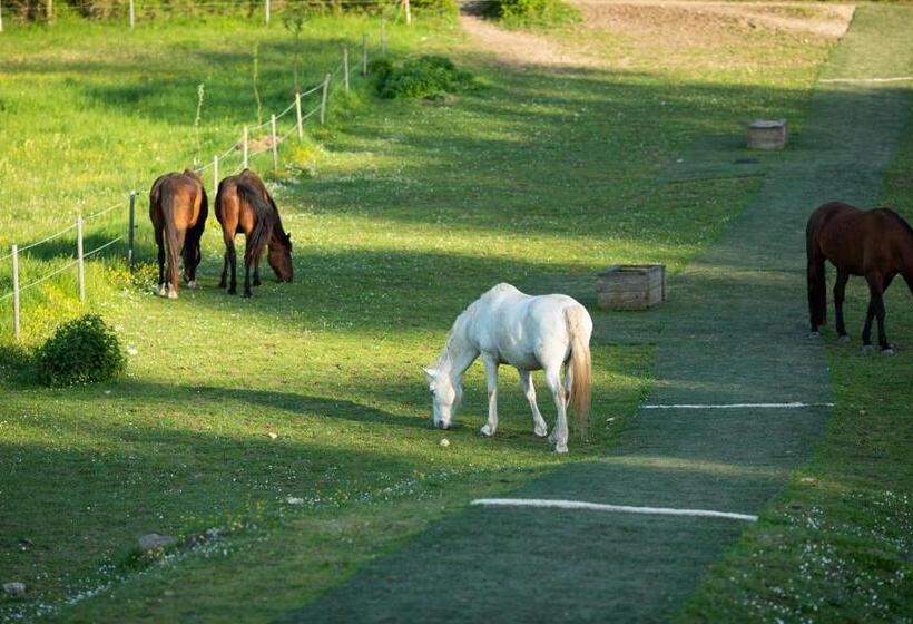 住宿加早餐 Domaine De Chantemerle B Nb