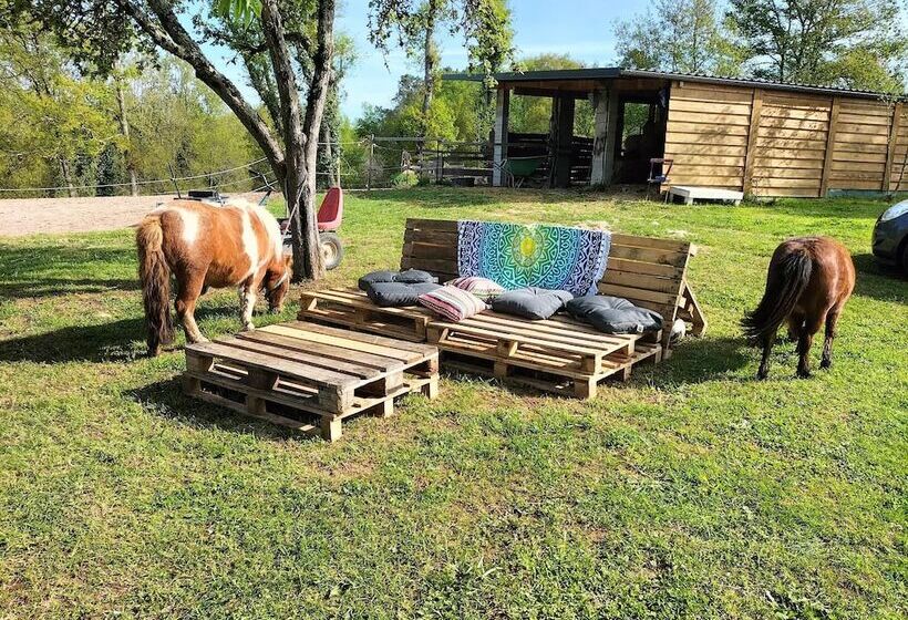 Bed and Breakfast Domaine De La Velle