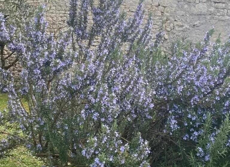 ベッドアンドブレックファースト Domaine De Pladuc