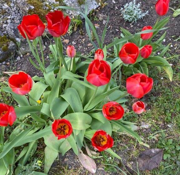 ベッドアンドブレックファースト Domaine De Pladuc