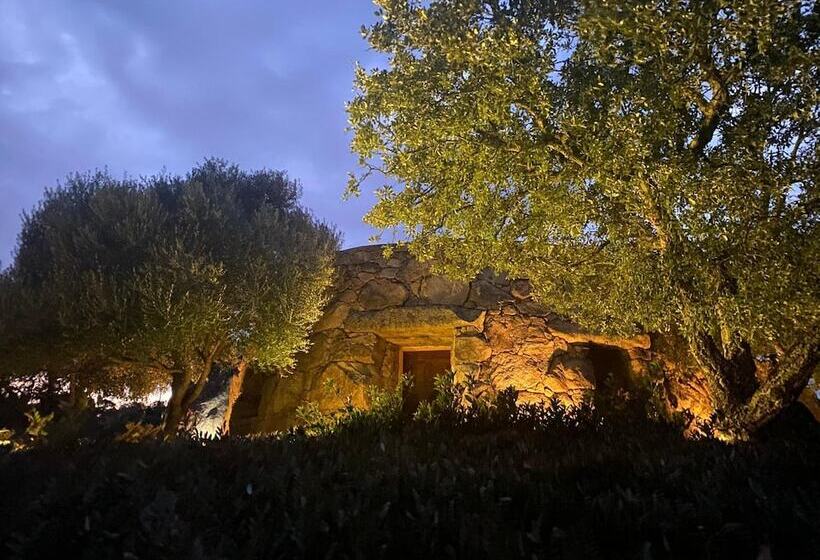 Bed and Breakfast Il Nuraghe Del Lago Coghinas