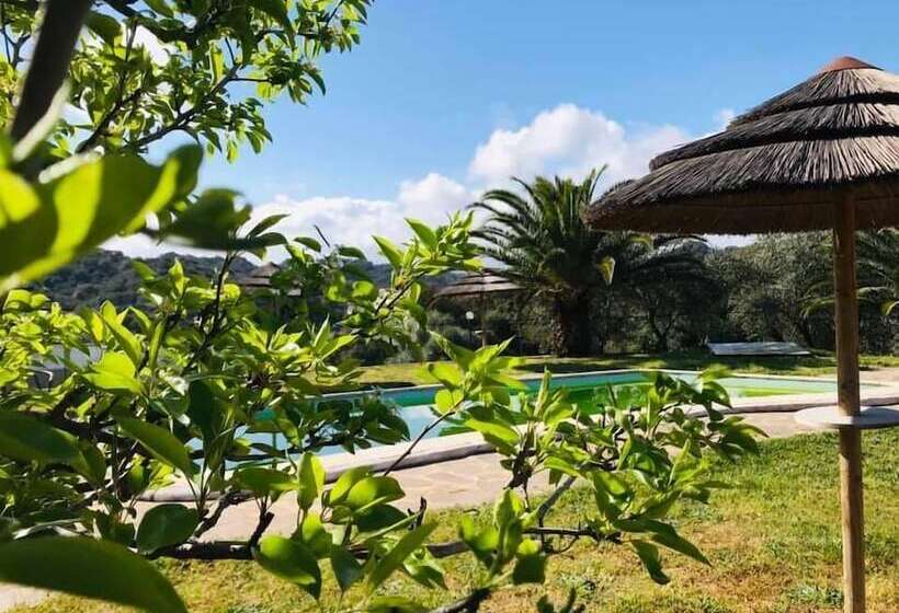 Bed and Breakfast Il Nuraghe Del Lago Coghinas