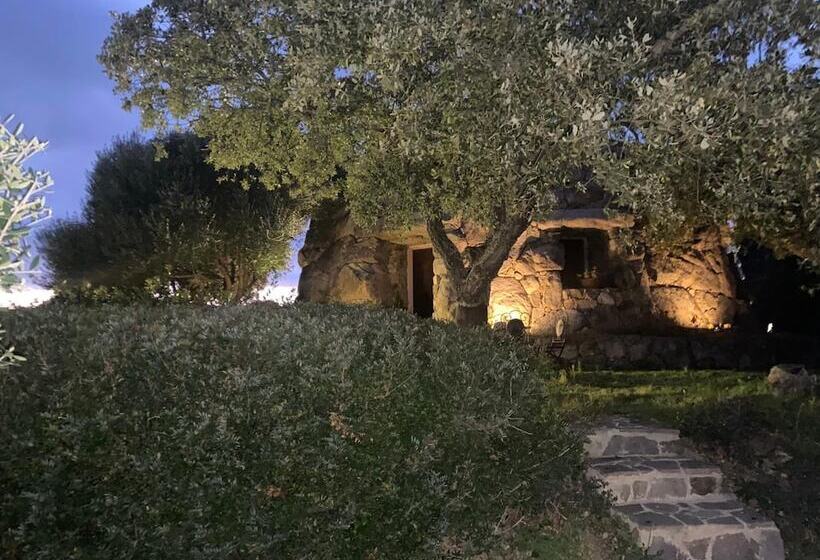 Bed and Breakfast Il Nuraghe Del Lago Coghinas