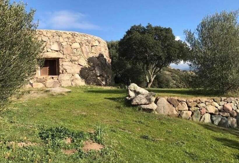 Bed and Breakfast Il Nuraghe Del Lago Coghinas