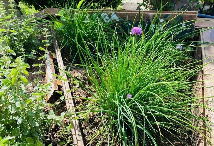 Bed and Breakfast Il Nuraghe Del Lago Coghinas