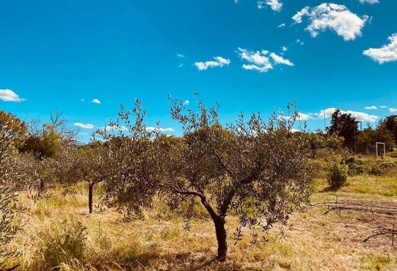 Bed and Breakfast Il Nuraghe Del Lago Coghinas