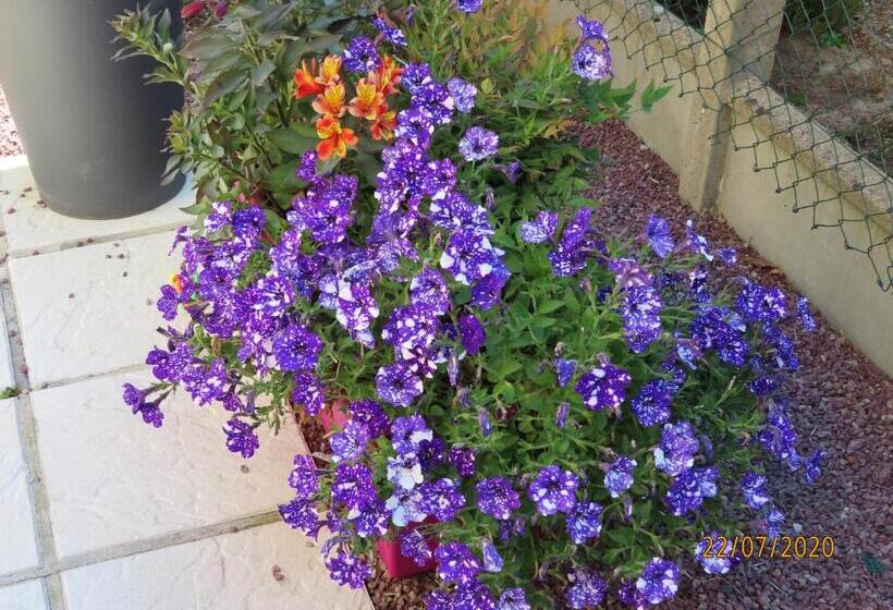 مبيت وإفطار La Chambre