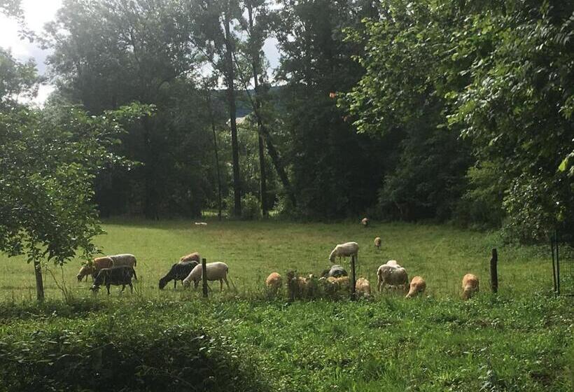 Bed and Breakfast La Terralha