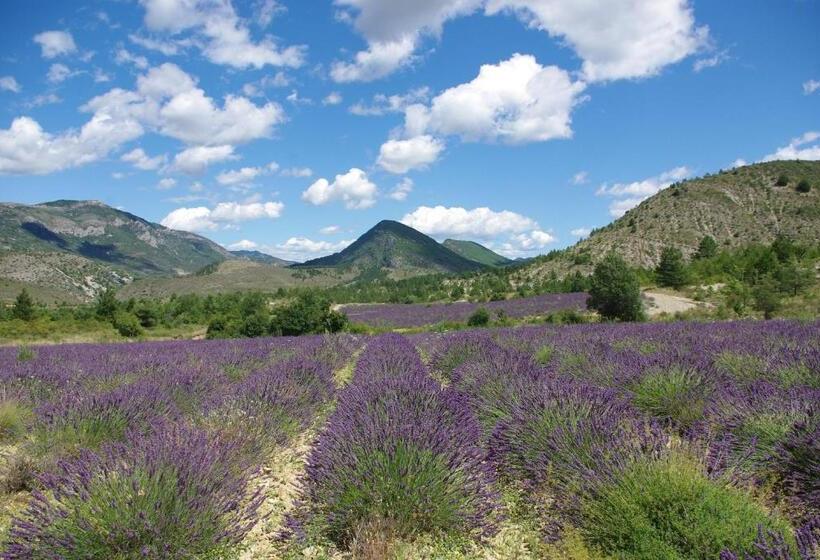 ベッドアンドブレックファースト Le Moulin De La Viorne, Gîte Modulable Avec Piscine En Haute Provence
