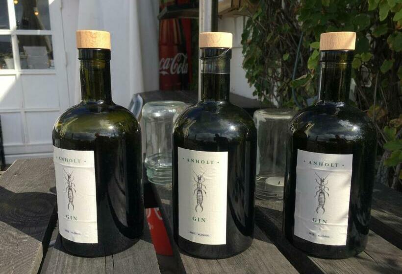 Casablanca Hostel, Hyggelig Overnatning