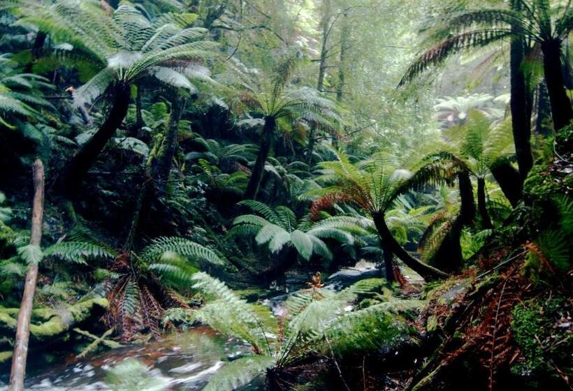 Corinna Wilderness Village