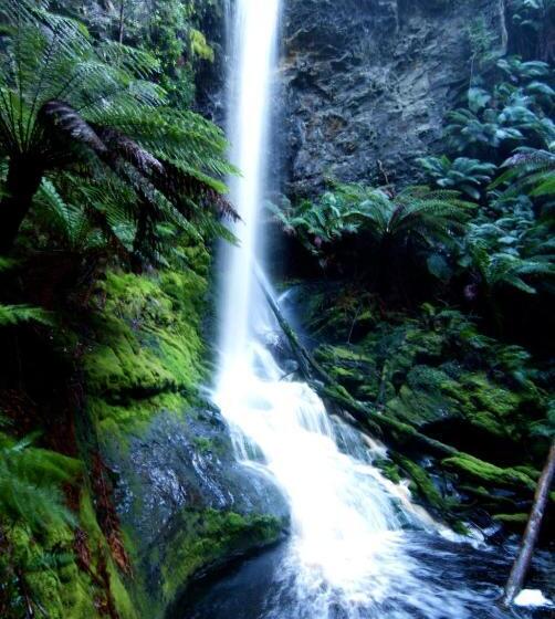 Corinna Wilderness Village