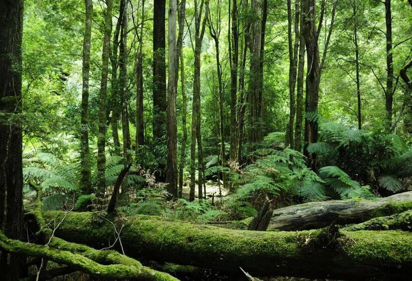 Corinna Wilderness Village