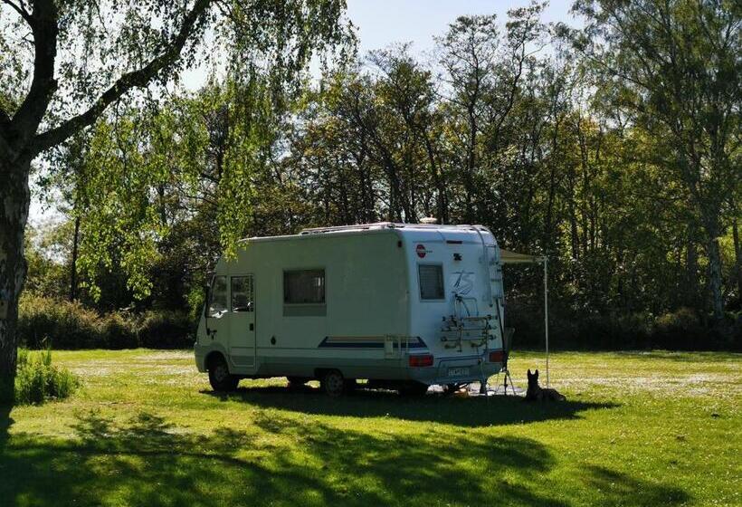 Frederiksværk Camping & Hostel