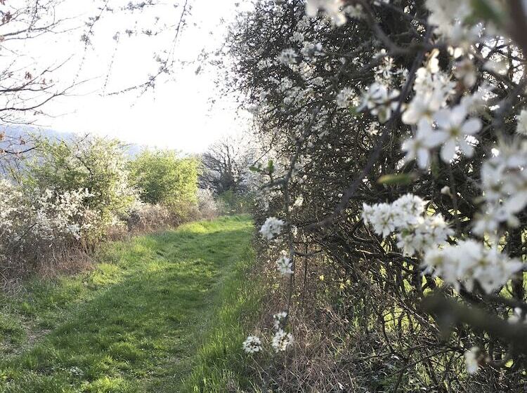 Ferienhaus Apple Tree