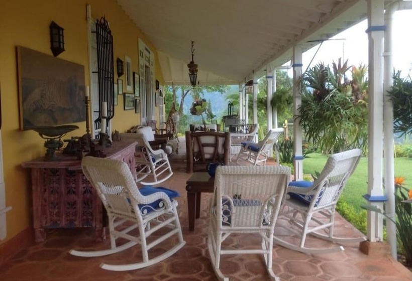 Finca Caja De Oro Fredonia