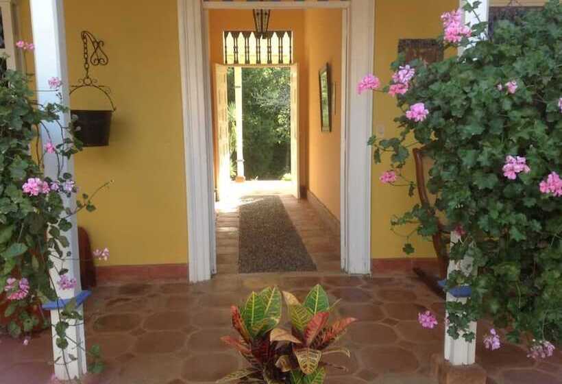 Finca Caja De Oro Fredonia