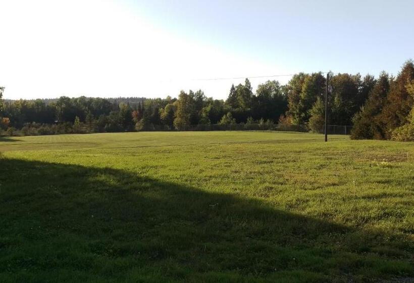 Bay Lake Inn   Frontiersman Motel