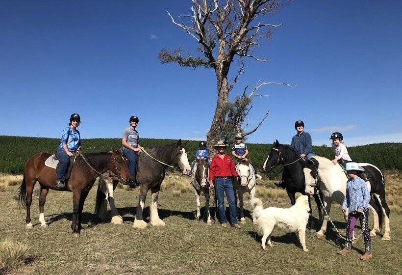 High Country Trail Rides & Farm Stay