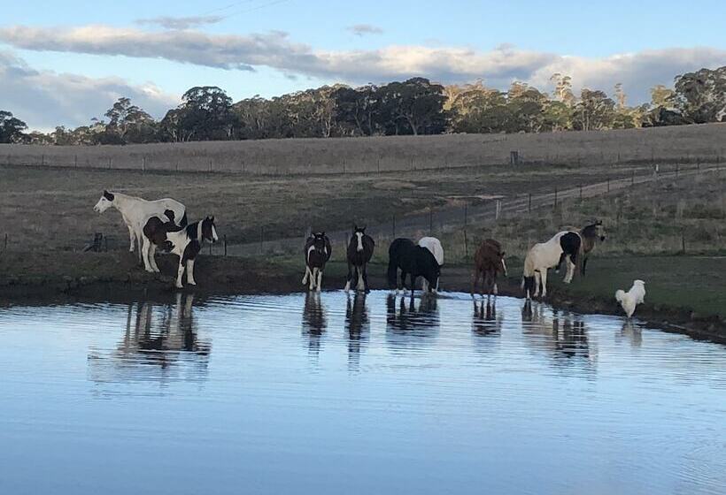 High Country Trail Rides & Farm Stay