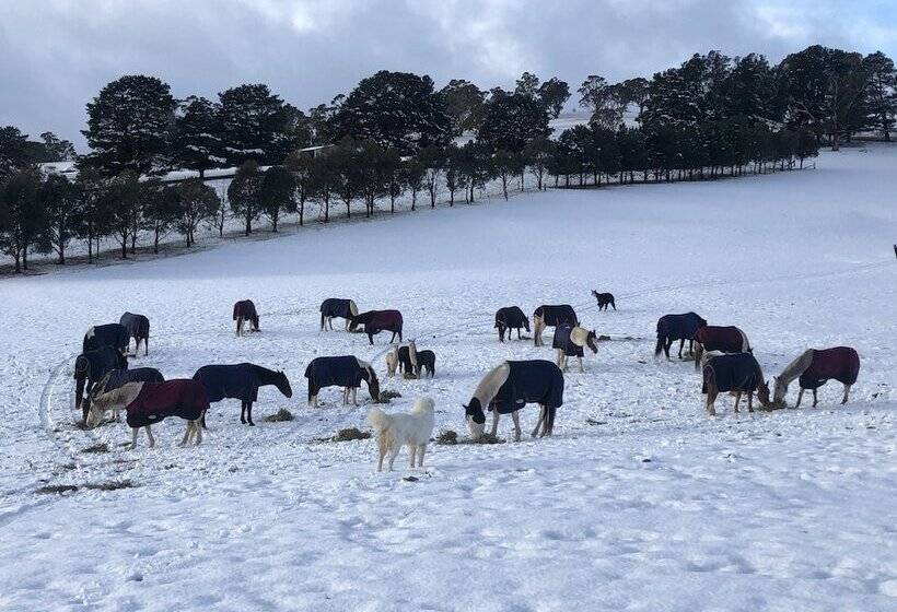 High Country Trail Rides & Farm Stay