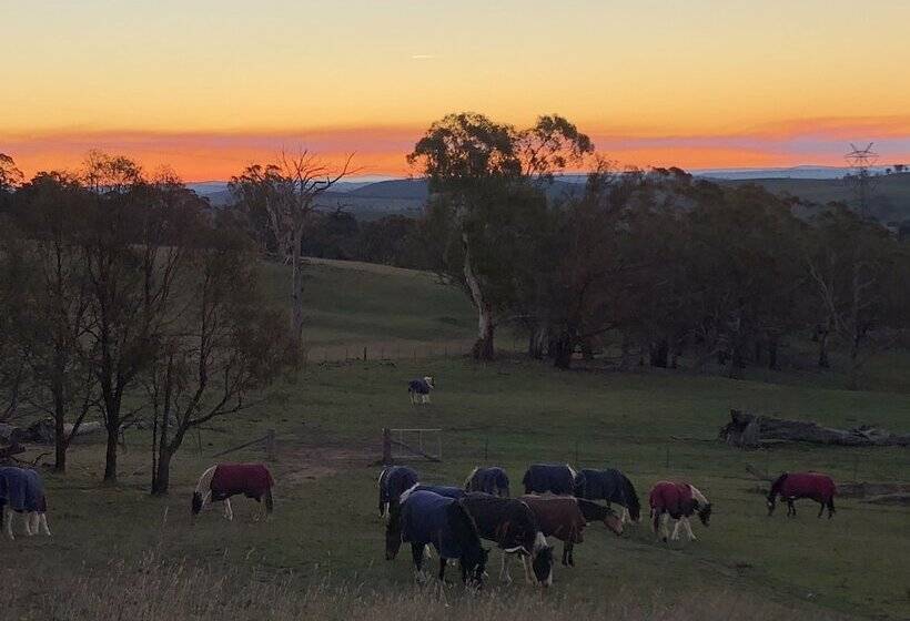High Country Trail Rides & Farm Stay