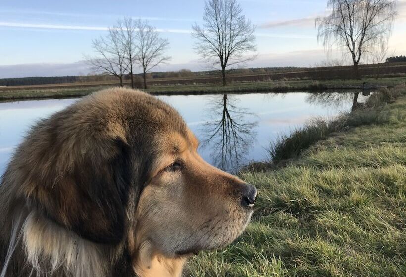 여관 Landhotel Rangau Gasthof & Brennerei