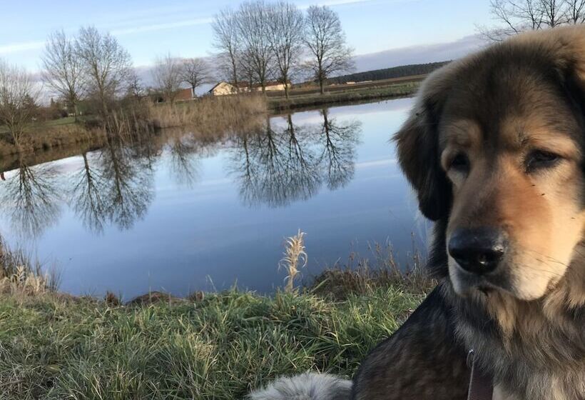 여관 Landhotel Rangau Gasthof & Brennerei