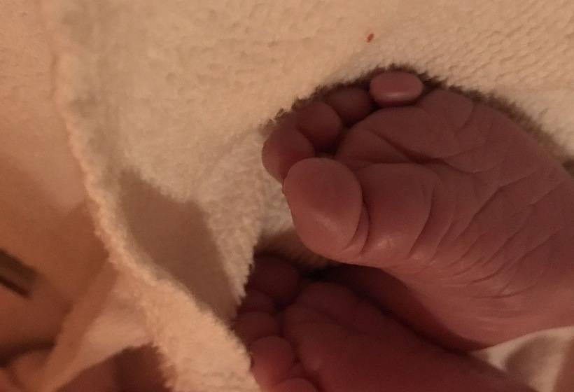 여관 Landhotel Rangau Gasthof & Brennerei