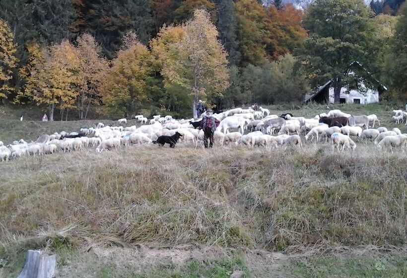 簡易ホテル Pradibosco Agrituristico