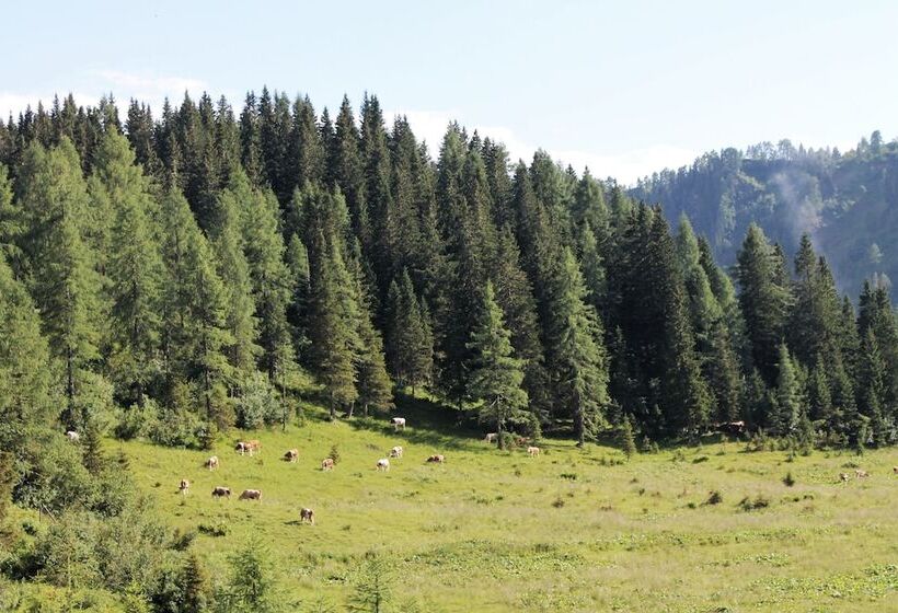 簡易ホテル Pradibosco Agrituristico