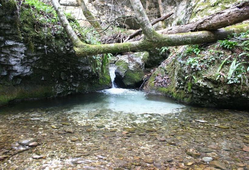 호텔 Albergo Ristorante Lis Aganis