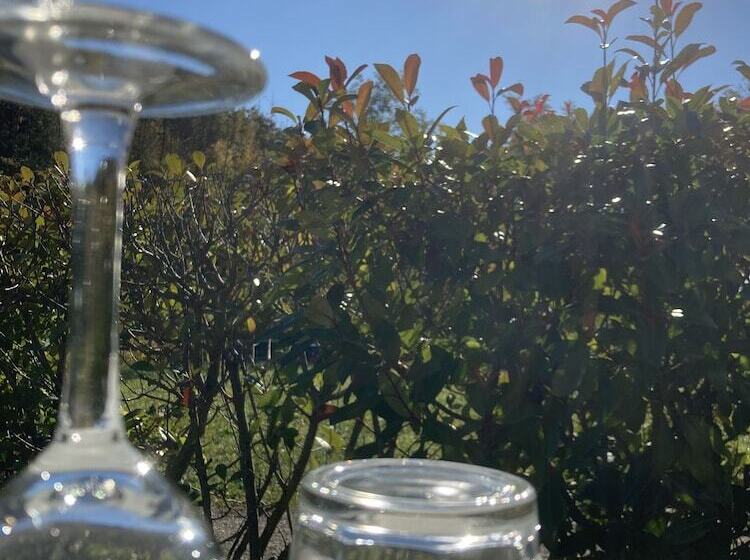 호텔 Albergo Ristorante Lis Aganis