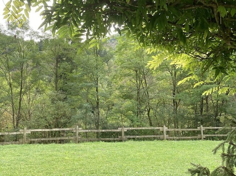 호텔 Albergo Ristorante Lis Aganis