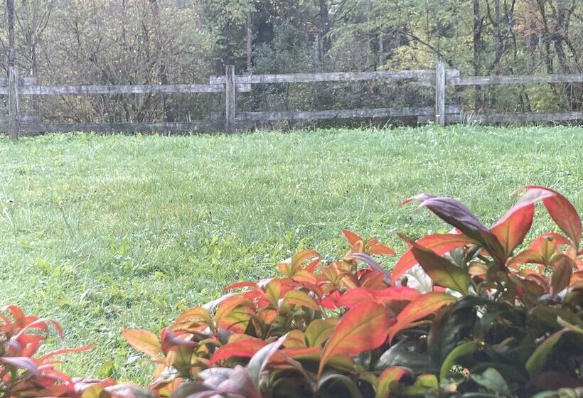 فندق Albergo Ristorante Lis Aganis