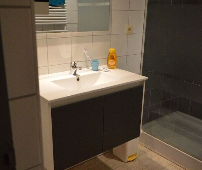 ホテル Camping Le Petit Lion   Gites