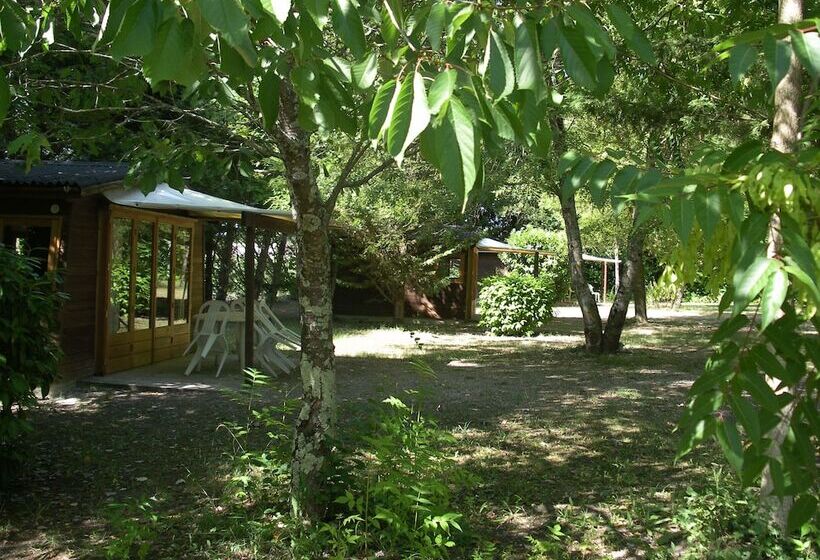 酒店 Camping Le Petit Lion   Lodges Bois
