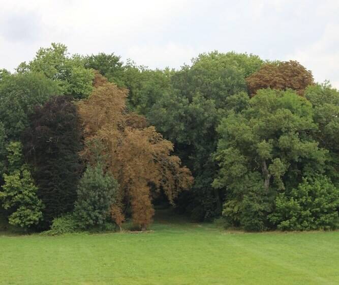 酒店 Château De Blet