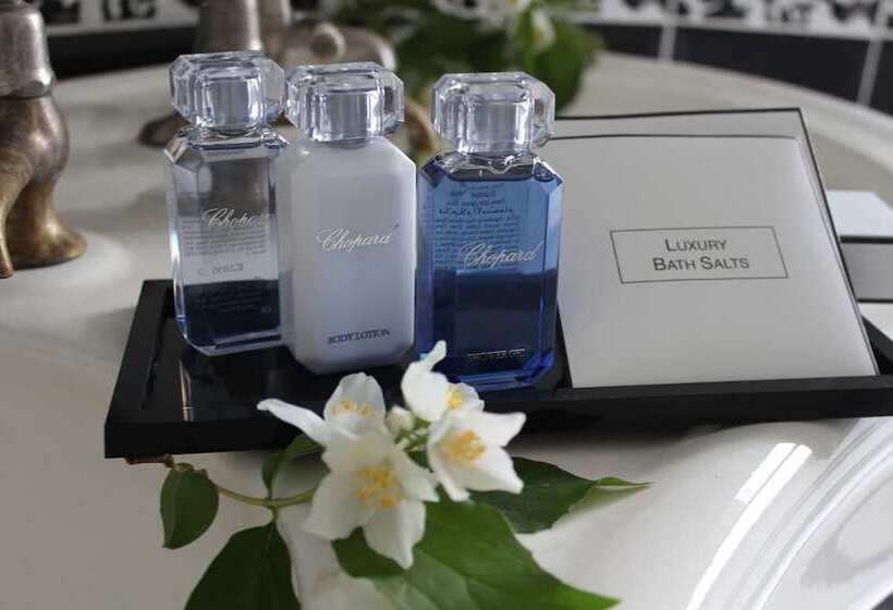 酒店 Château De Blet