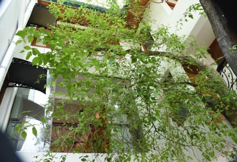 فندق Colombo Tree House