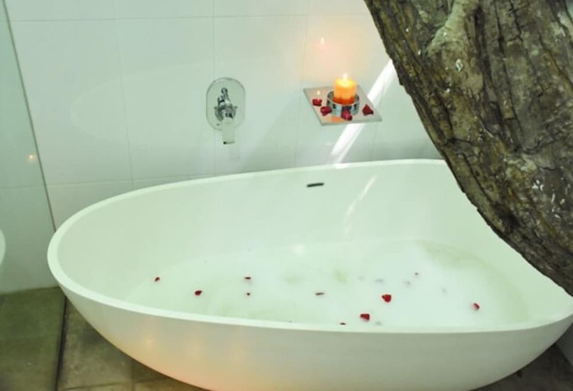 فندق Colombo Tree House