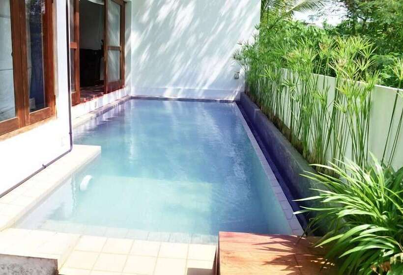 فندق Colombo Tree House