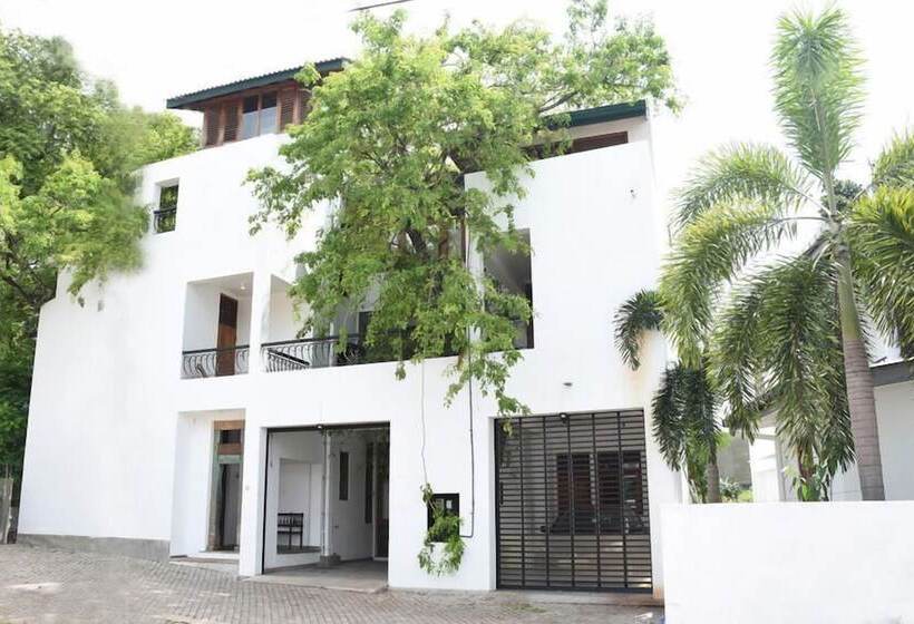 ホテル Colombo Tree House