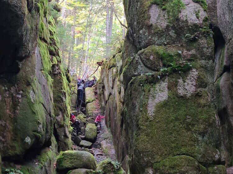 فندق Crabbe Mountain Inn