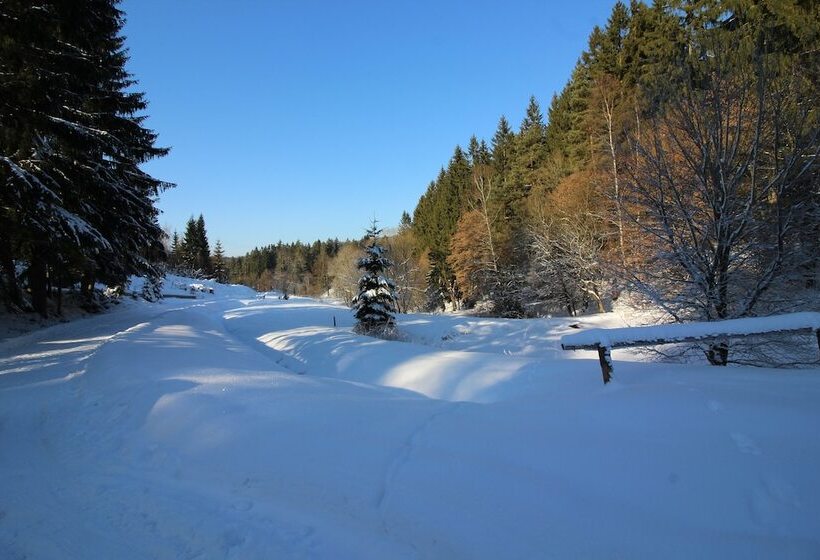 호텔 Ferienwohnungen Hinternah